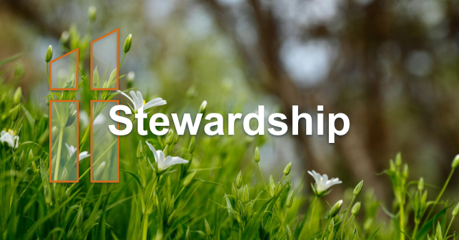 Stewardship 